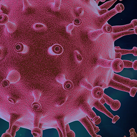 Simulation des Coronavirus